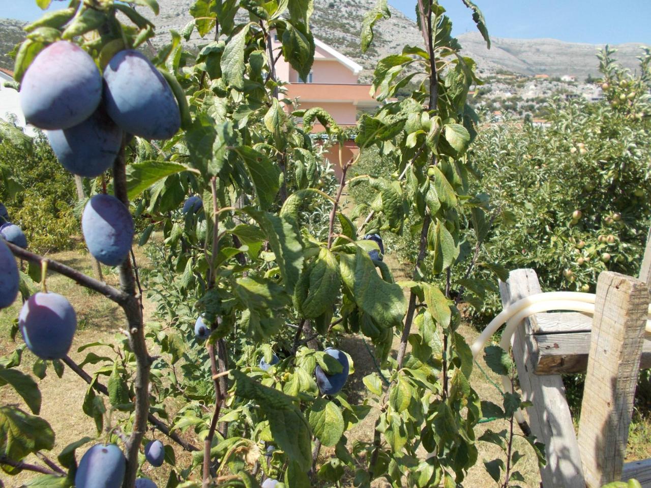 Apartmani Slado Trebinje Exterior foto